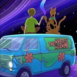 Meet your Posher, Ashly